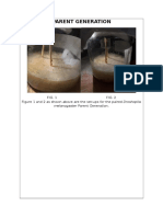 Drosophila Melanogaster Parent and Offspring Generations