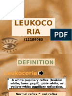 Leukocoria 2016fix