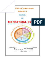 Menstrual Cycle Nursing Project