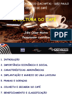 A Cultura Do Café