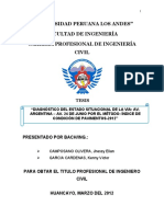 TESIS EVA. PAV.pdf