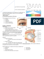 Anatomy and Physiology of The Eye