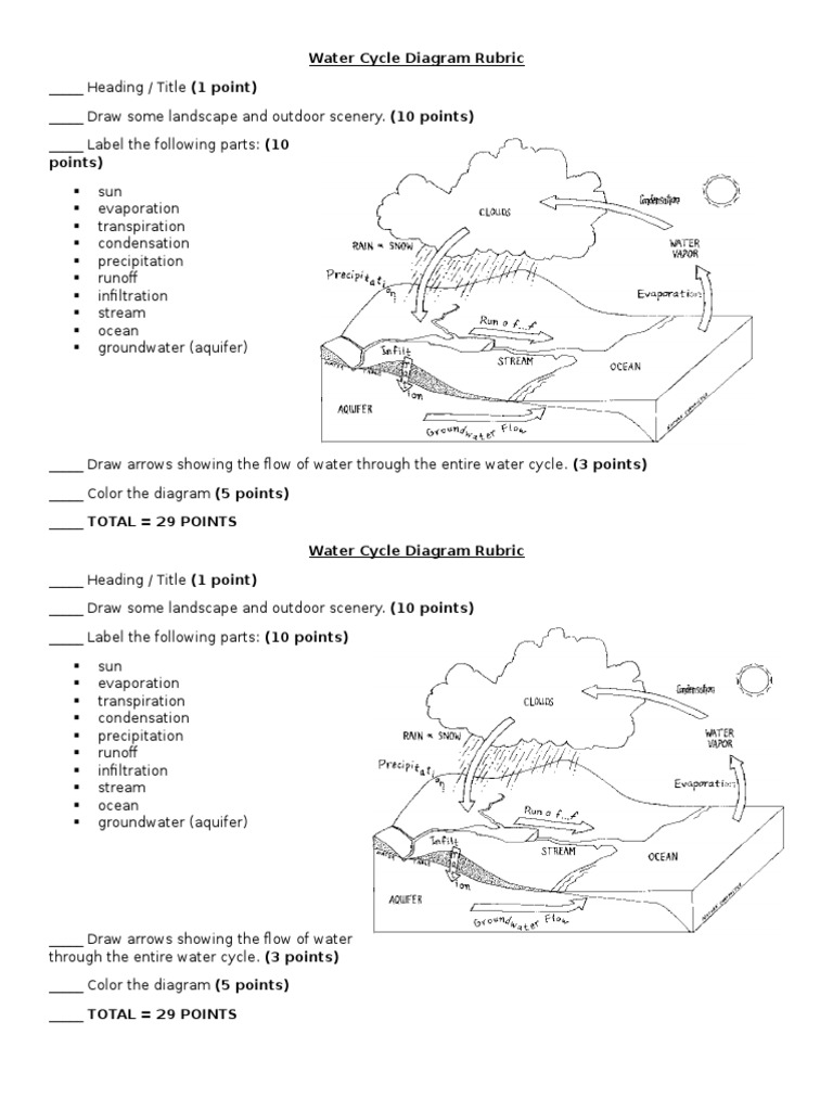 Water Cycle Diagram Rubric | PDF | Science & Mathematics | Computers