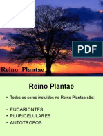 Reino Plantae