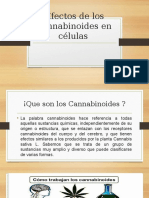 CANNABINOIDES 