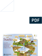 Funciones Del Suelo