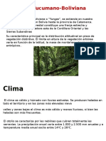 Selva Tucumano-Boliviana: Clima y Vegetación