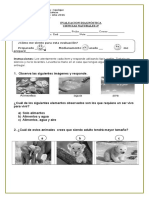 Ev. Diagnostica 2° C. Naturales. 2016