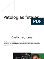 Patologias 2