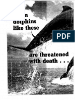 How To Save 2 Dolphins Article