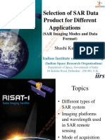 2. Selection of SAR Data Product for Different Applications