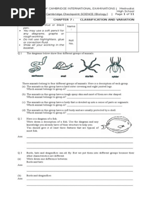 7 classification and variation que pdf gray wolf dogs