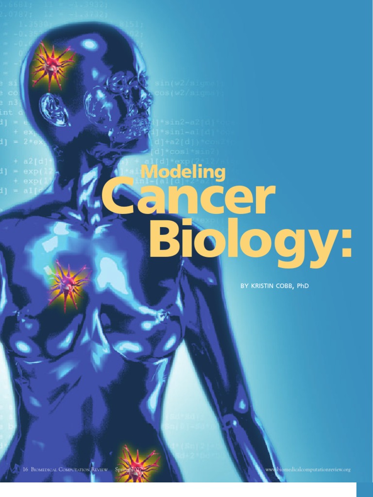 Cancer Biology:: Modeling | PDF | Angiogenesis | P53