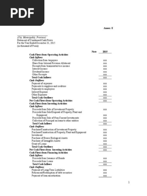 Cash Flow Statement