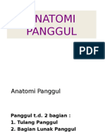 Anatomi Panggul Dan Janin DR Ridlo, New