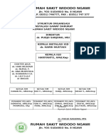 Struktur Organisasi IGD