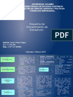 Esquema de Procedimientos de Extradiccion