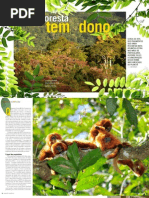 Essa floresta tem dono