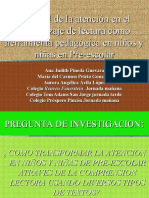 PRESENTACION PFPD 2009- 2010 