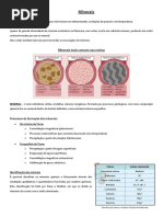 G11 - Minerais (3)