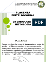 Placenta Epiteliocorial