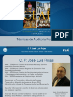 José Luis Rojas-Técnicas de Auditoría Forense
