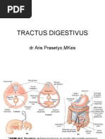 Digestive System Parts and Functions | Human Digestive System | Small