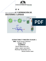 Practica Num.4 Extracción y Separación de Proteínas y Lípidos