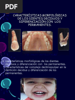 Morfologia de La Denticion Decidua