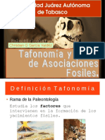 Tafonomía