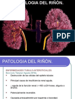 Patologia Del Riñon