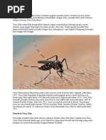 Download Zika by Andaru Kusuma Praja SN303606921 doc pdf