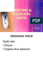 Anatomi Fisiologi