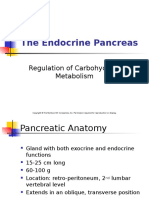 The Endocrine Pancreas: Regulation of Carbohydrate Metabolism