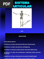 slides Artrologia Geral 2013