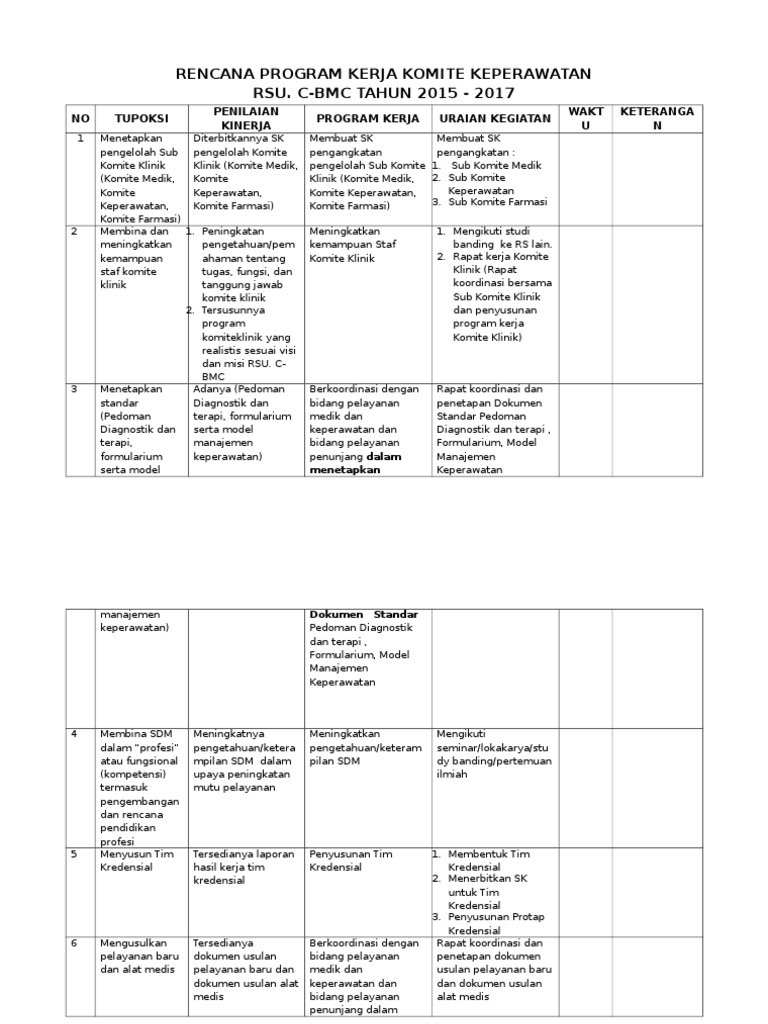 Program Kerja Komite Keperawatan