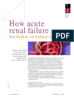 How Renal Failureputsthebreakonkidneyfunction