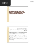 Download Perlintan-3a HandOut Compatibility Mode by sby1970 SN30370123 doc pdf
