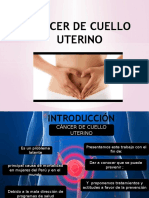 Cáncer de Cuello Uterino 1