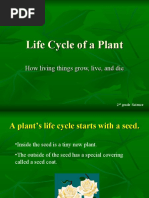 Download Plant Life Cycle by Hans Quevedo SN30372448 doc pdf