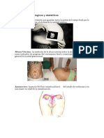 Terminos Ginercologicos y Obstetricos