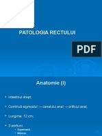 Curs Patologia Rectului