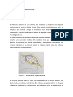 Bloqueo y Anestesia Epidural