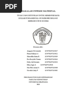 Download Makalah Infeksi Maternal by Anonymous ykwIE5VI SN303788994 doc pdf