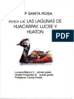 Aves de Las Lagunas de Huacarpay, Lucre y Huatón