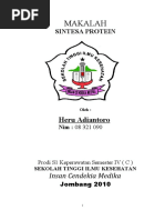 Download Makalah Sintesa Protein by herushima SN30379843 doc pdf
