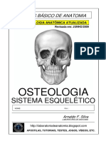  Apostila Anatomia Sistema Esqueletico