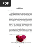 Download Tahapan Pembuatan Sari Buah by Bagas Aryo Sasongko SN303813350 doc pdf