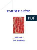 1-Metabolismo Del Glucogeno