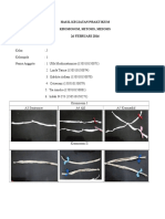 Hasil Kegiatan Praktikum Kelopok 1